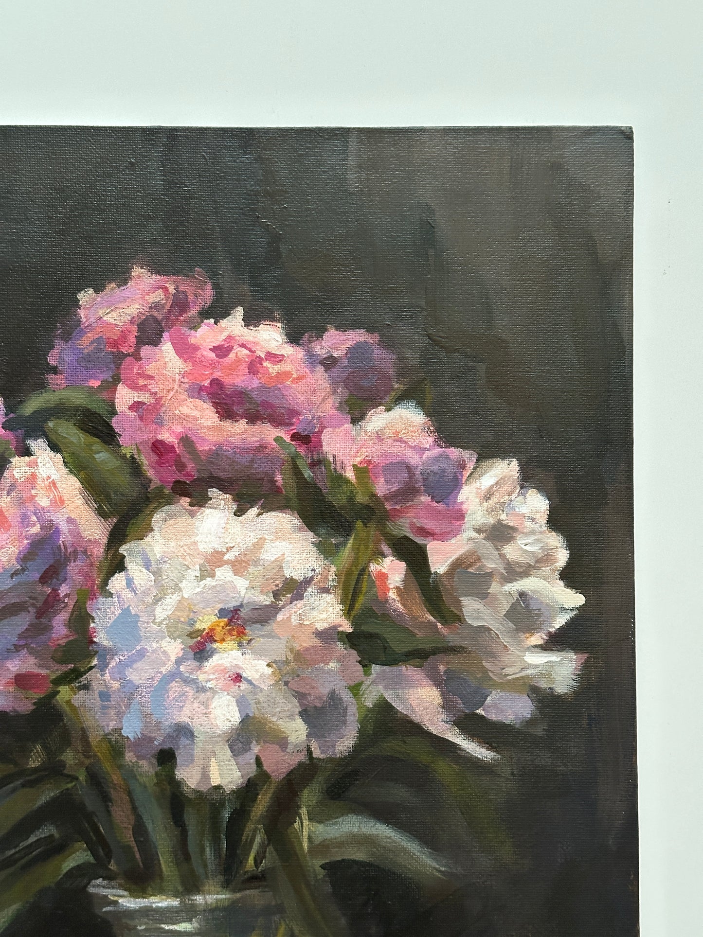 Peonies in Bloom