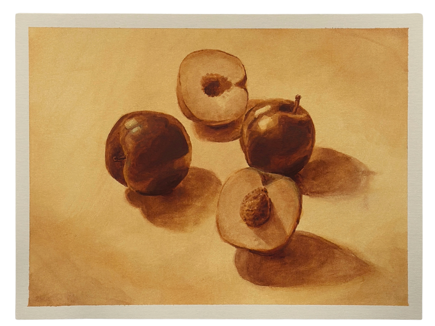 Plums & Apricot in Morning Sun