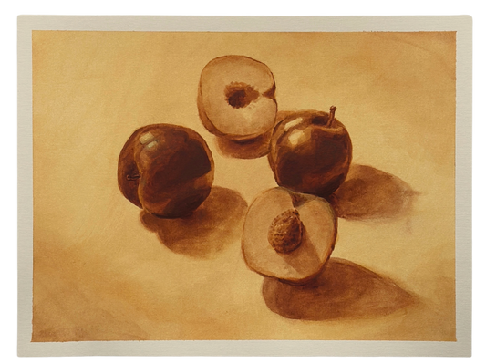 Plums & Apricot in Morning Sun